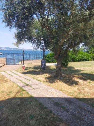 Independent Villa With Private Beach On The Lake Bracciano  Εξωτερικό φωτογραφία