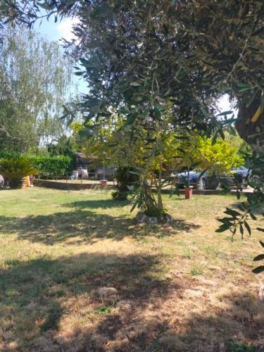 Independent Villa With Private Beach On The Lake Bracciano  Εξωτερικό φωτογραφία