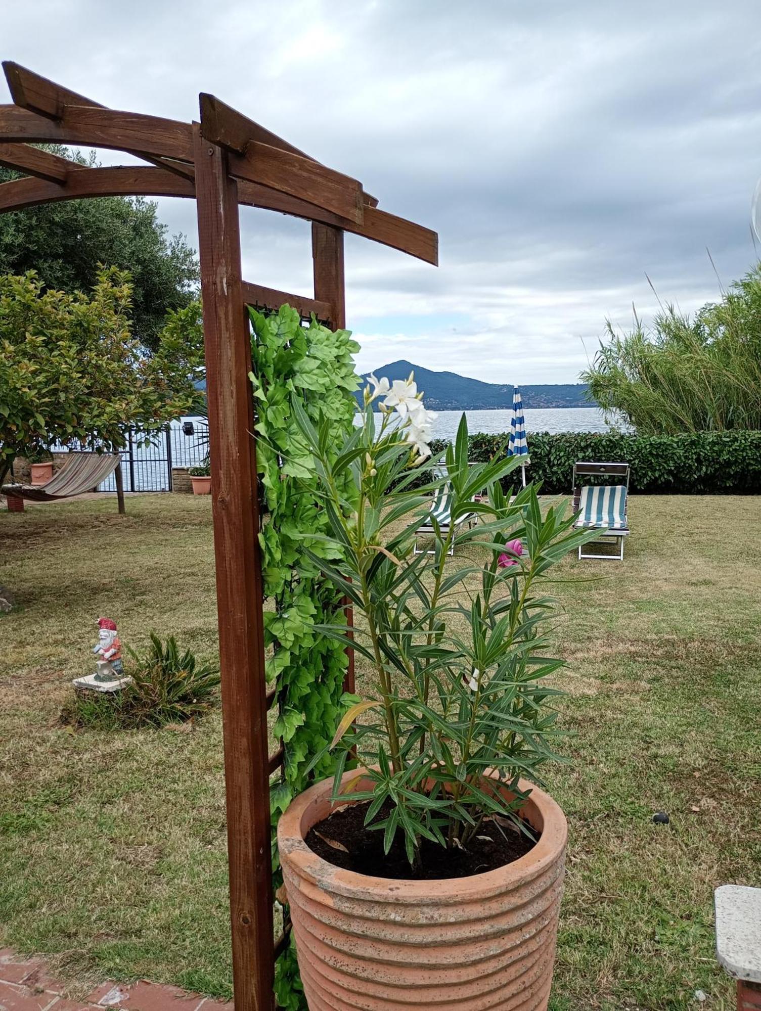 Independent Villa With Private Beach On The Lake Bracciano  Εξωτερικό φωτογραφία